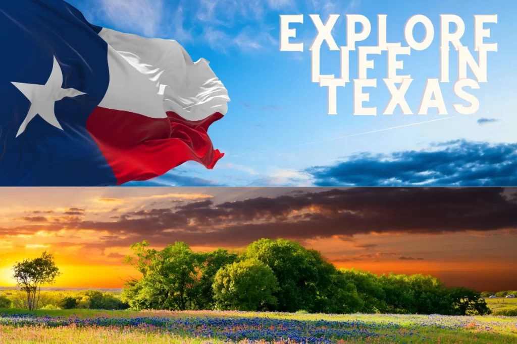  Explore Life in Texas Texini(07)