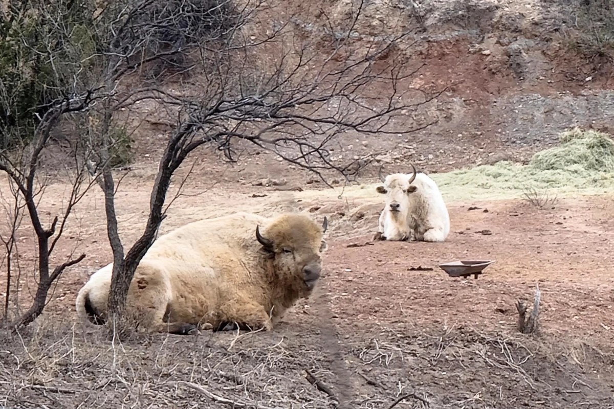 Copper Breaks State Park Texas Texini