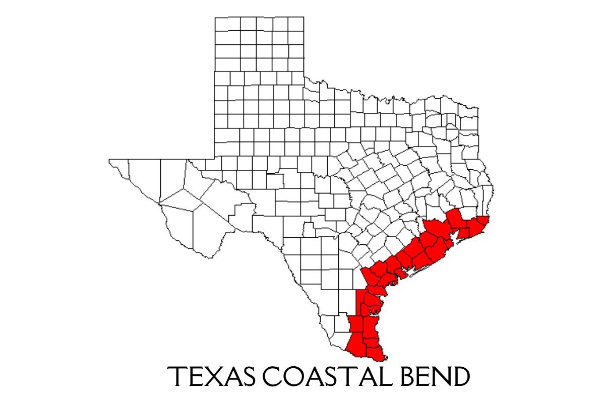 Texas Coastal Bend Texini