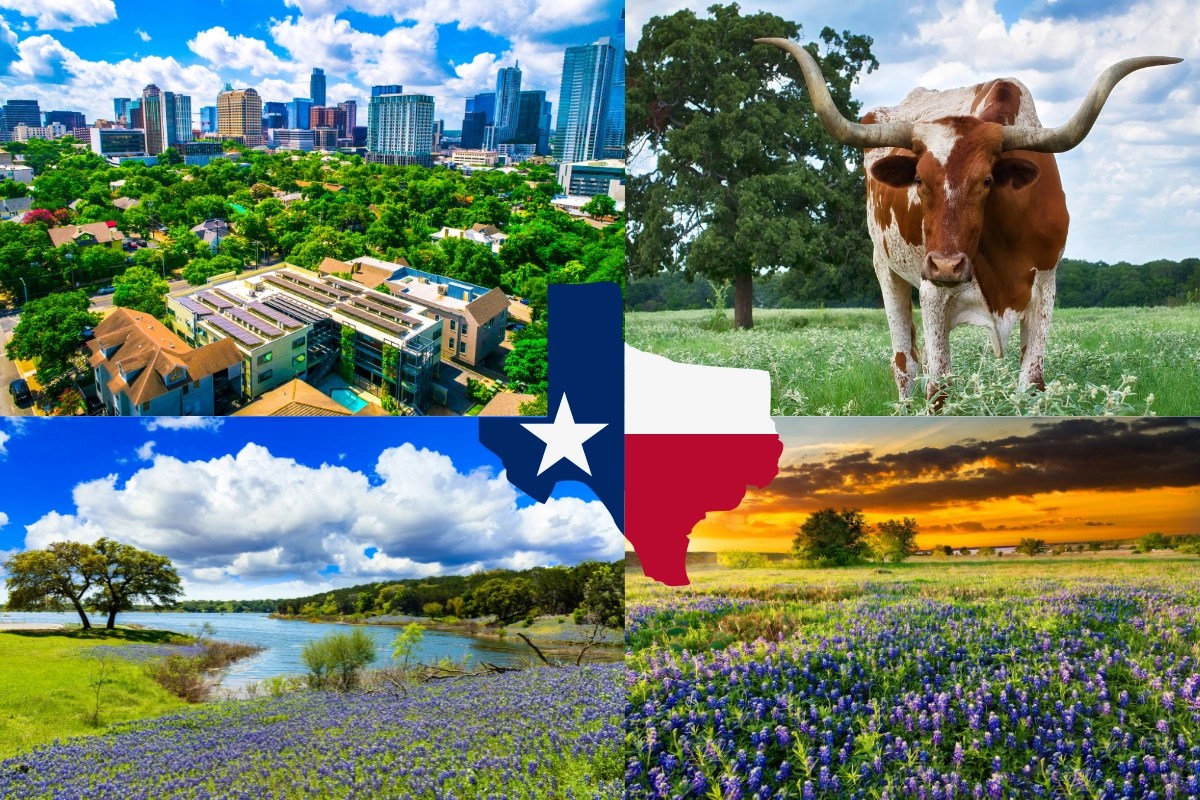  Cities in Texas Series Texini
