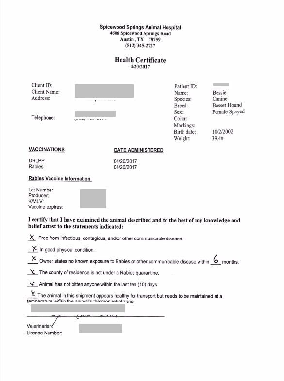 Bringing our Pets into Mexico TexMexExpats