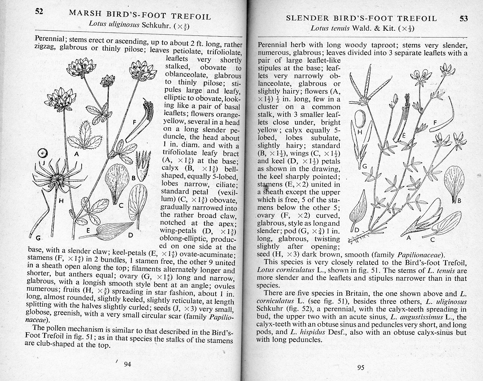 Some Sample Pages for "document analysis"