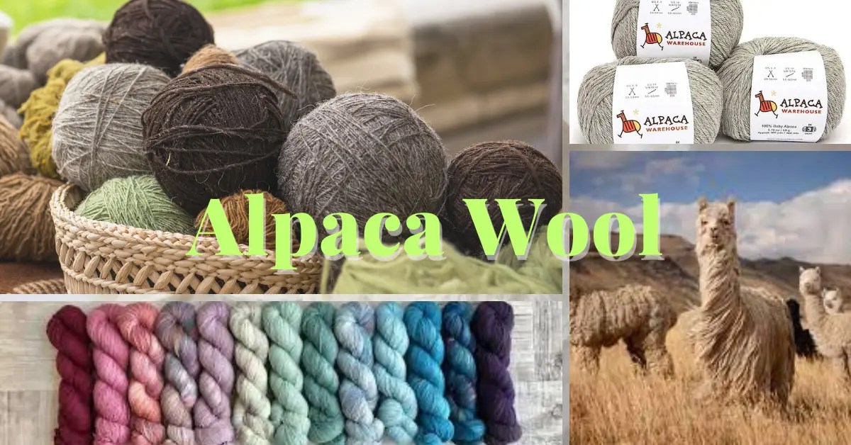 What Is Alpaca Wool Called? How You Benefit From Alpaca Wool Textile