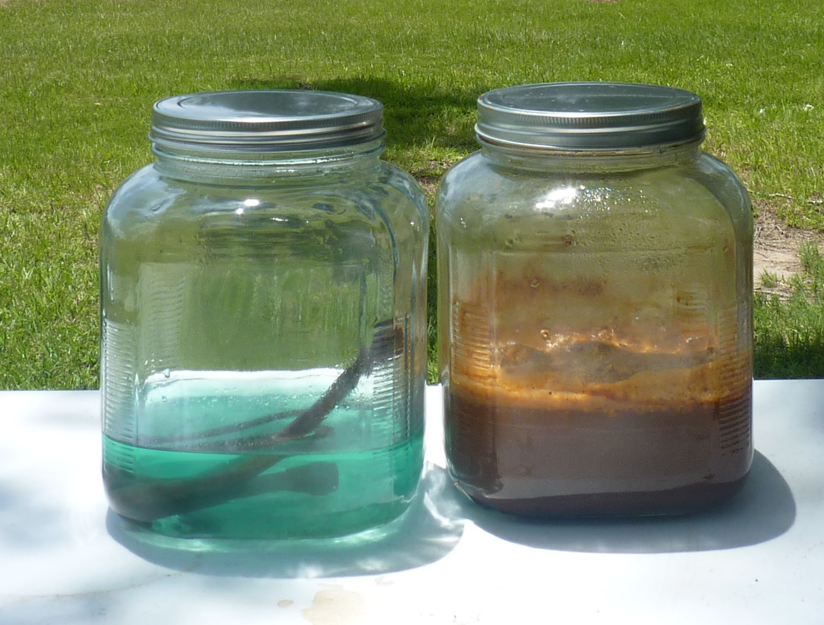 Dye Days of Summer Sunflowers Deep in the Heart of Textiles