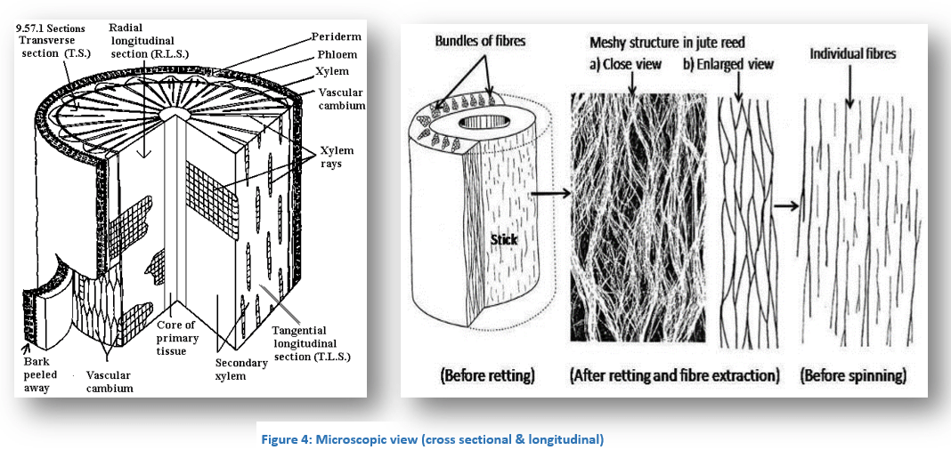 Carpet Fiber Identification Burn Test Carpet Vidalondon