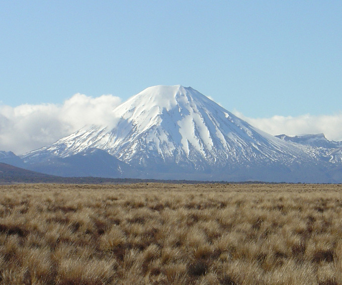 44.3D Temperate Grasslands Biology LibreTexts