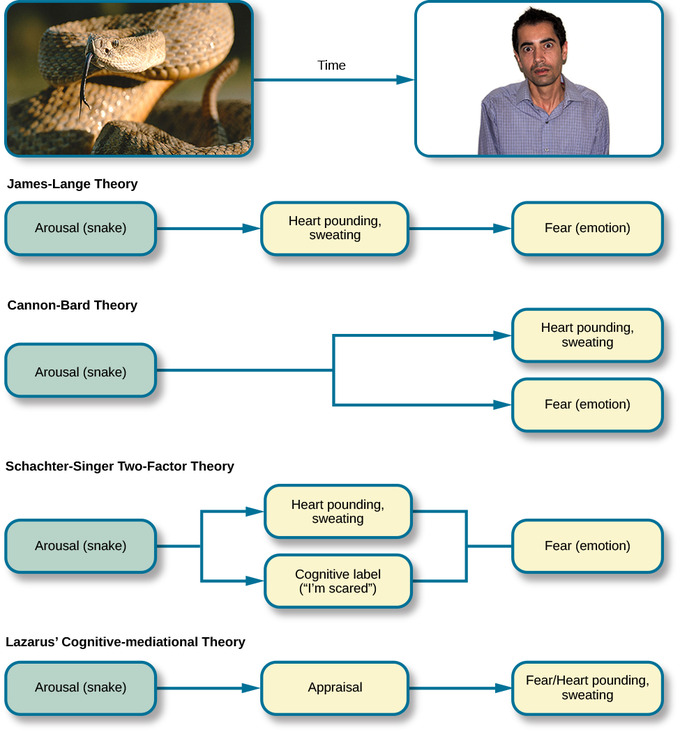 Theories of Emotion Boundless Psychology