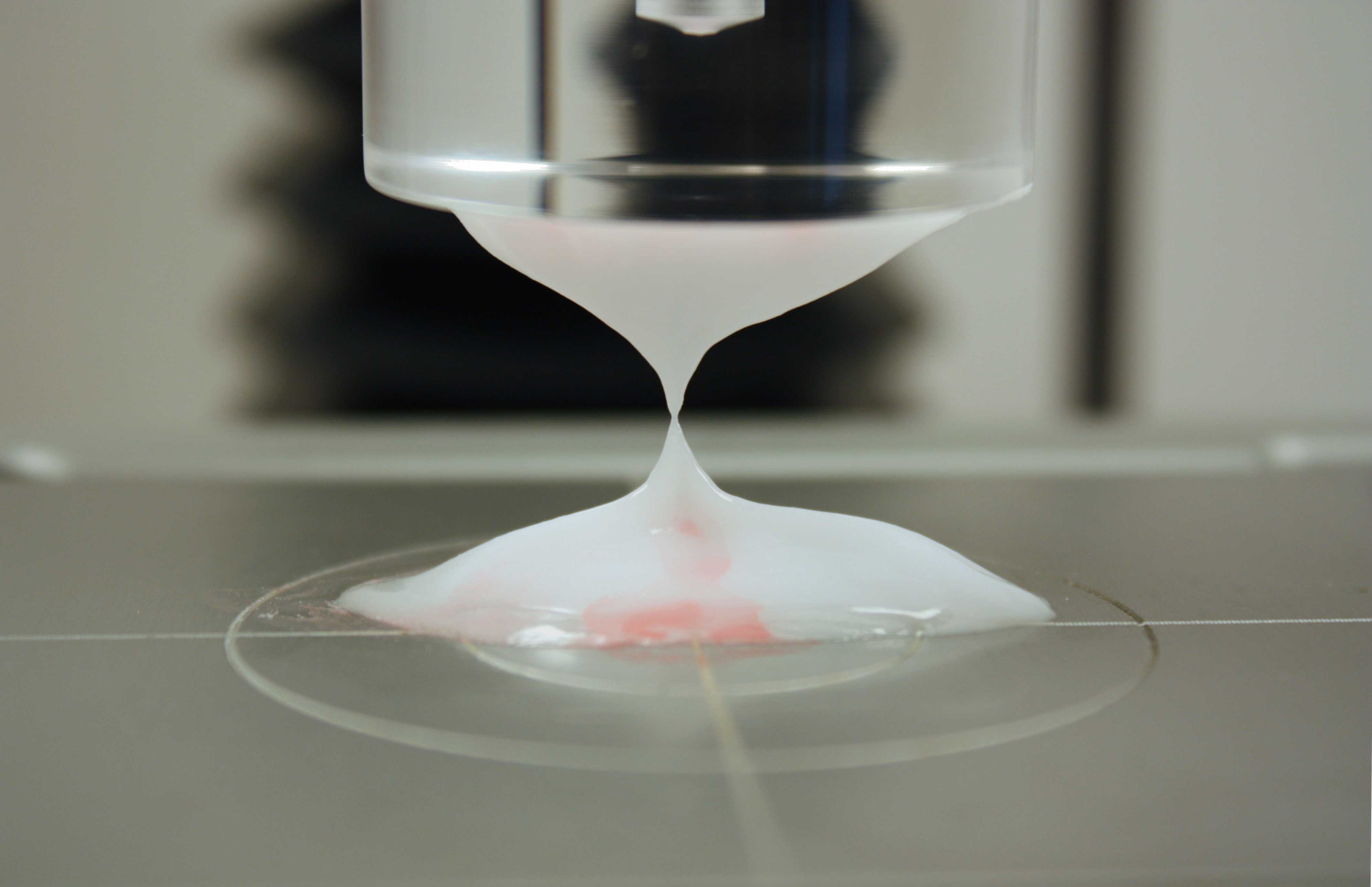 Gel Testing Analysis Equipment Texture Technologies