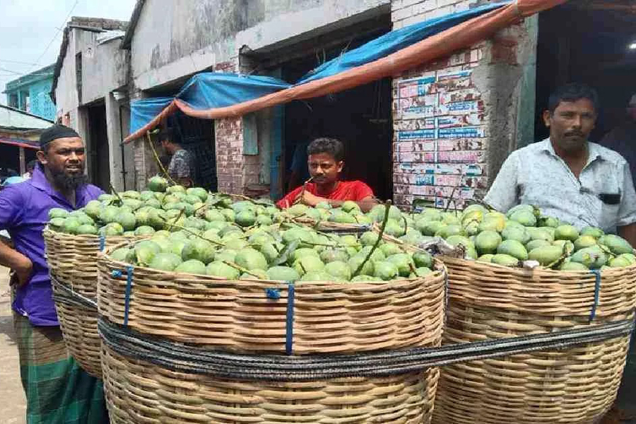 Bangladesh exports 2,700 tons of mangoes to 34 countries this season