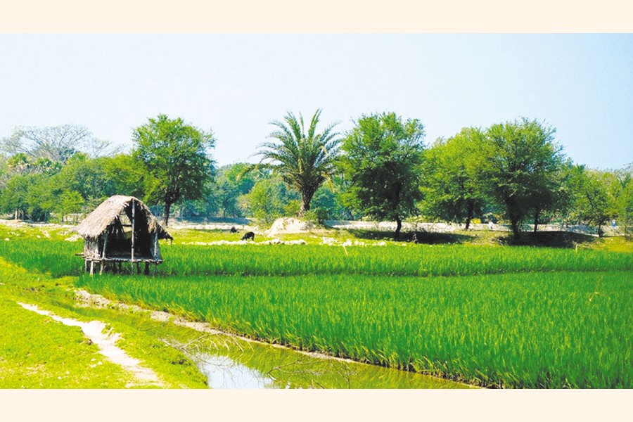 The village we left and the village it is now The Financial Express