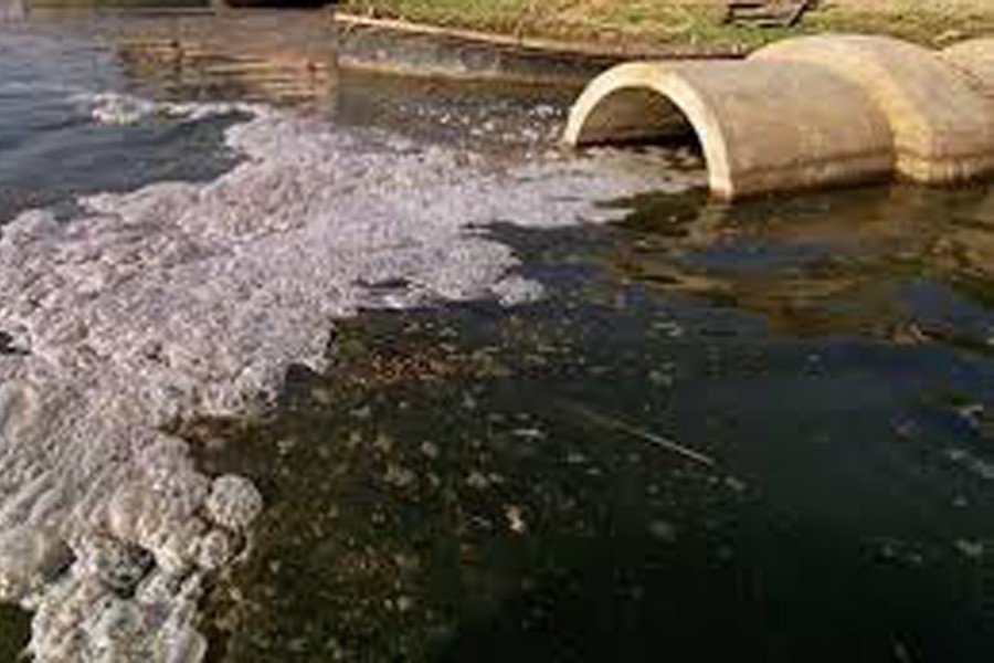 Tannery wastes polluting Dhaleshwari The Financial Express