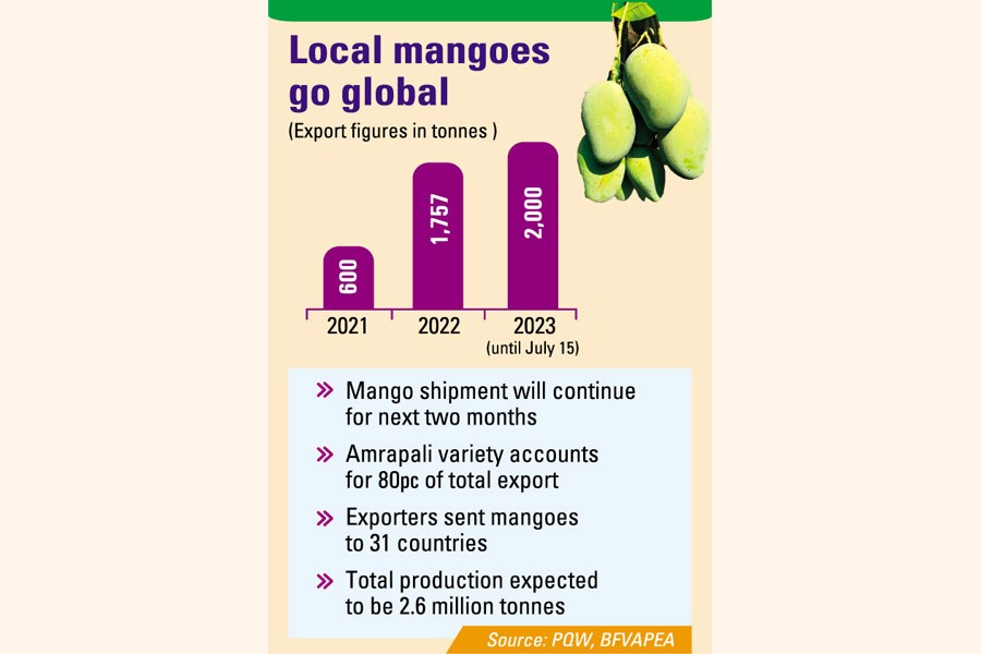 Mango exports hit alltime high The Financial Express