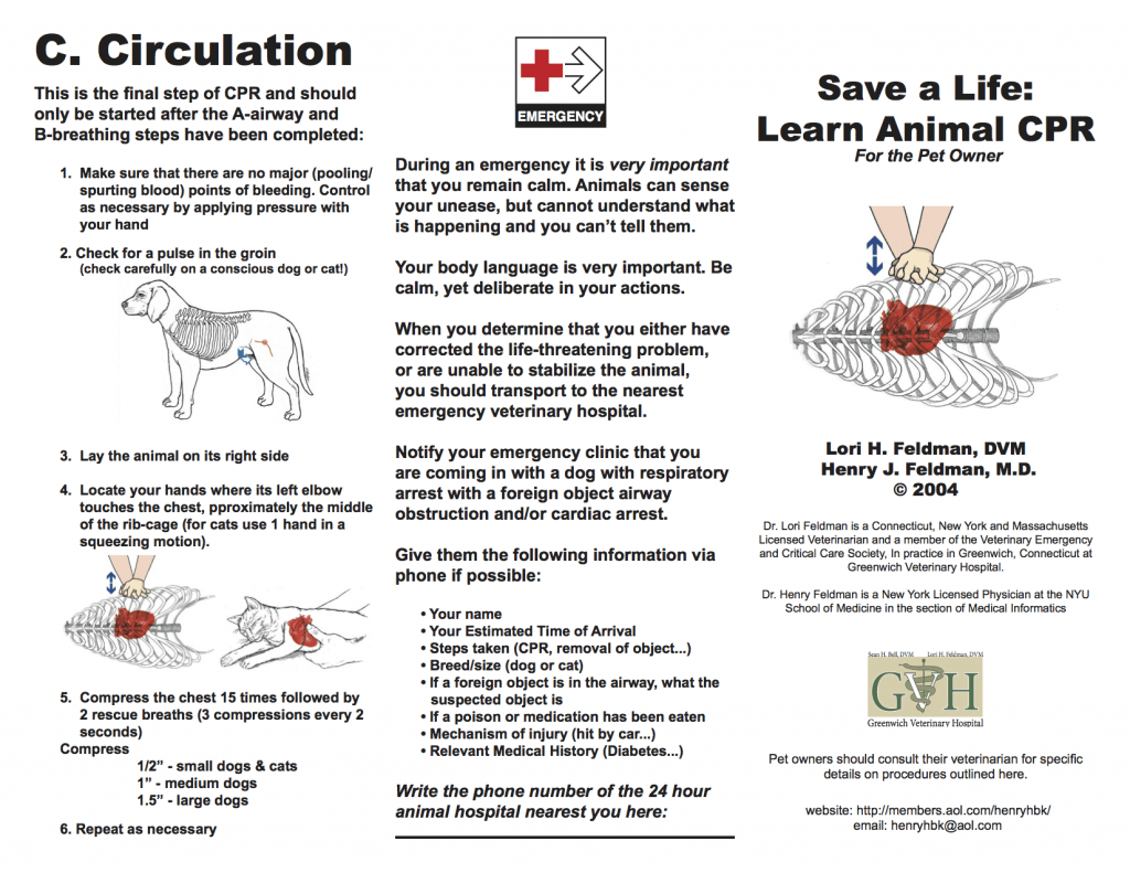 CPR For Your Pet TFE Times