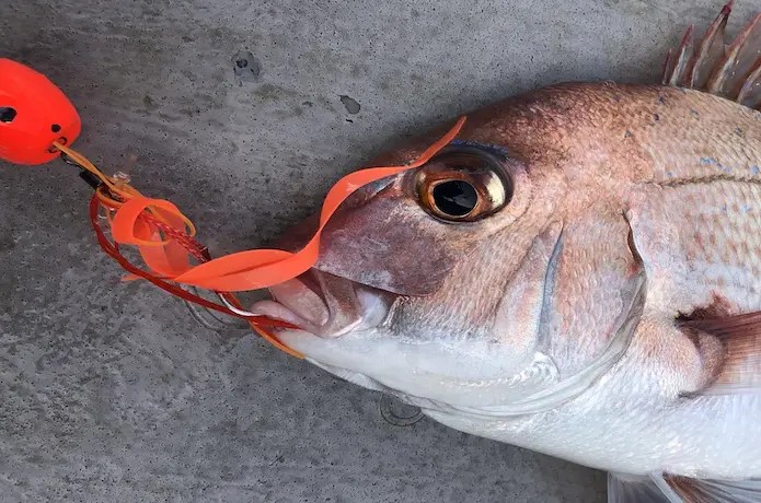 【ルアー】釣れるタイラバの選び方とおすすめタイラバを紹介！ 釣れるんか？