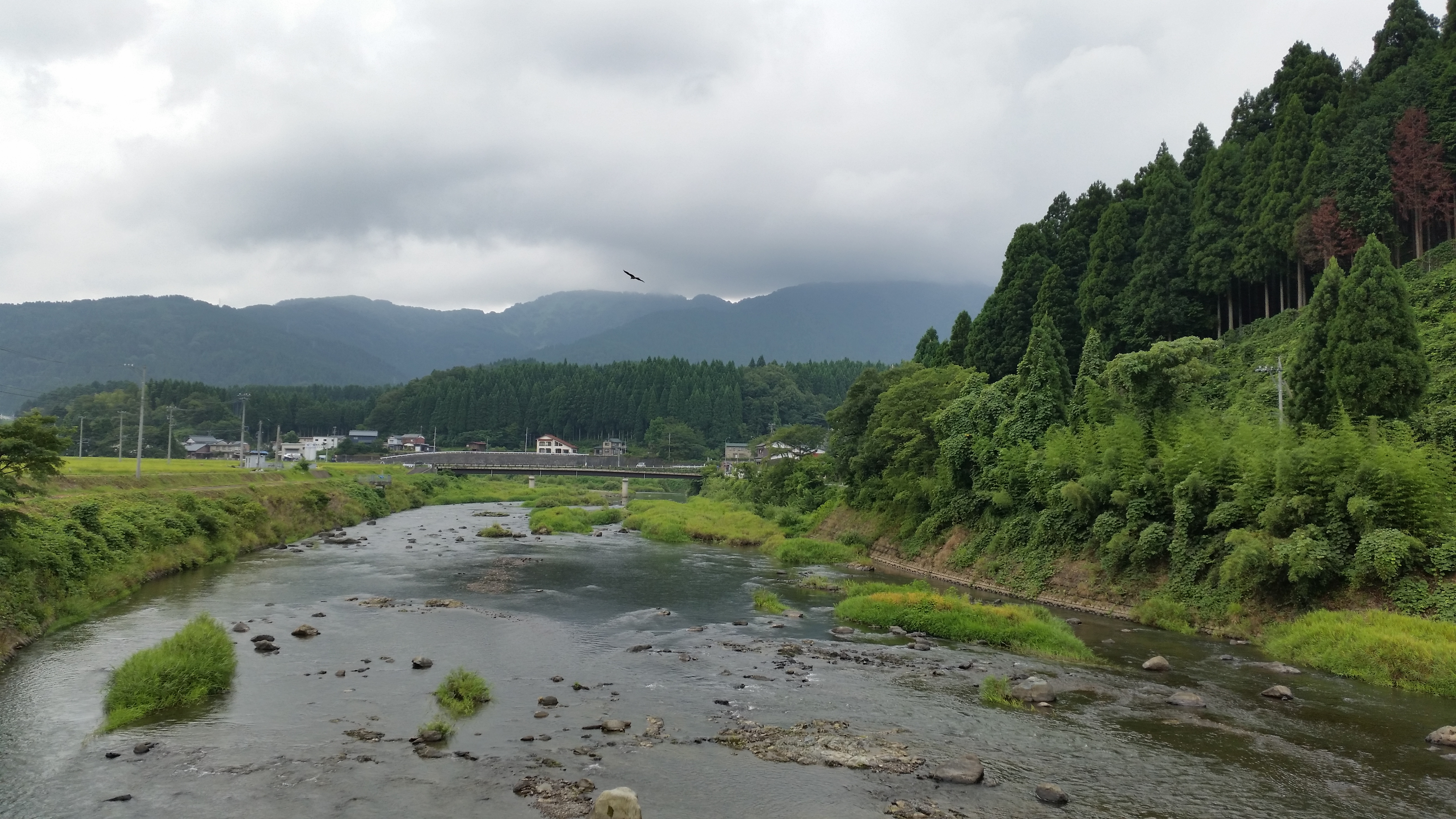 山に囲まれた足羽川で鮎釣り&砂金堀 The firstone
