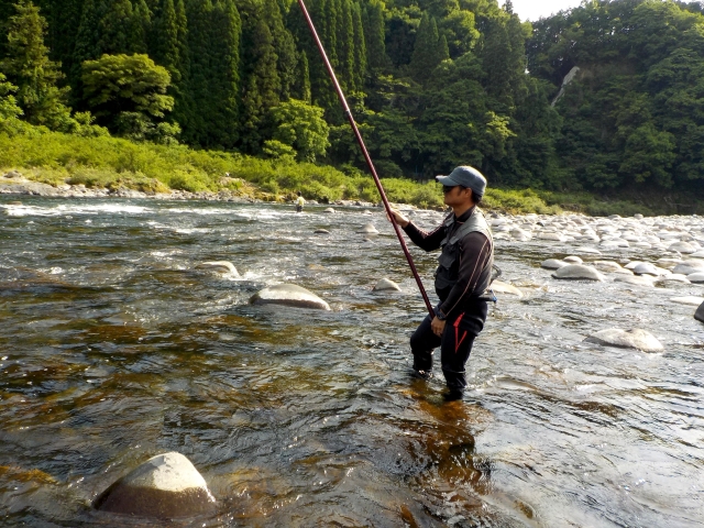 夏は鮎釣り