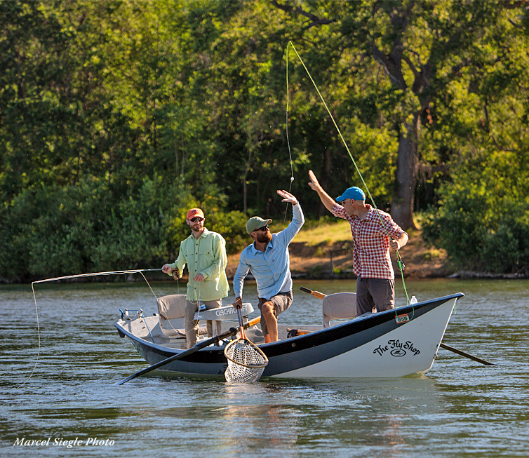 The Fly Shop Fly Fishing Shop