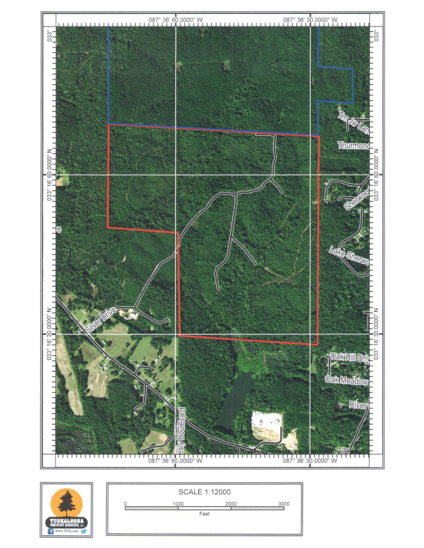 NORTHPORT, TUSCALOOSA COUNTY, AL LAND FOR SALE 303 +/ ACRE