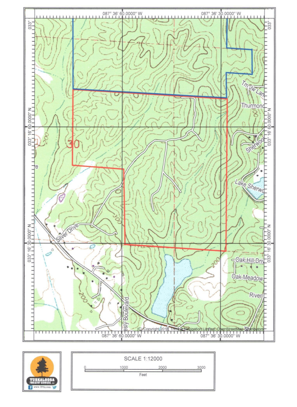 NORTHPORT, TUSCALOOSA COUNTY, AL LAND FOR SALE 303 +/ ACRE