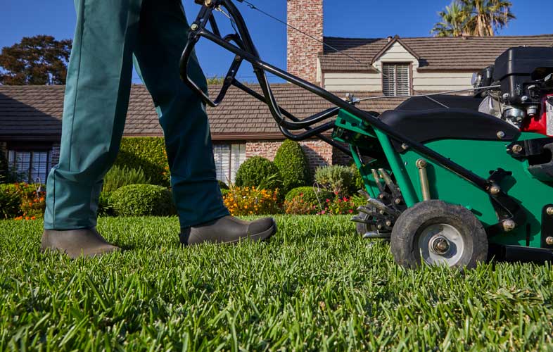 Does your lawn need a breather? The importance and benefits of aeration