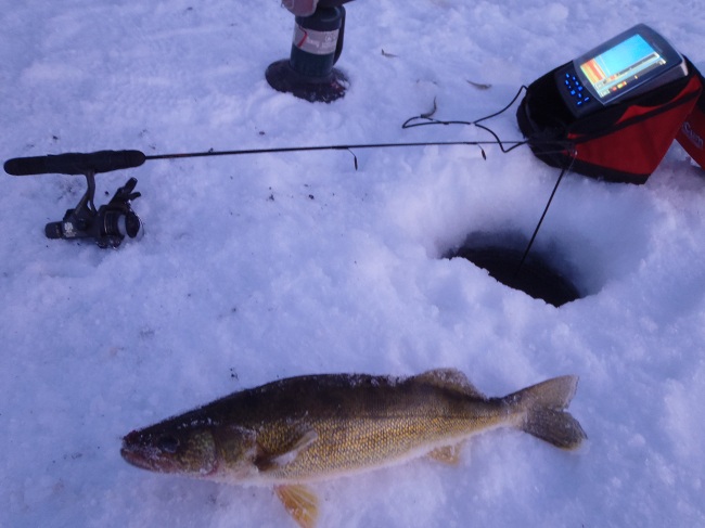 Icefishing for Walleye in Alberta The Great Canadian Adventure Blog
