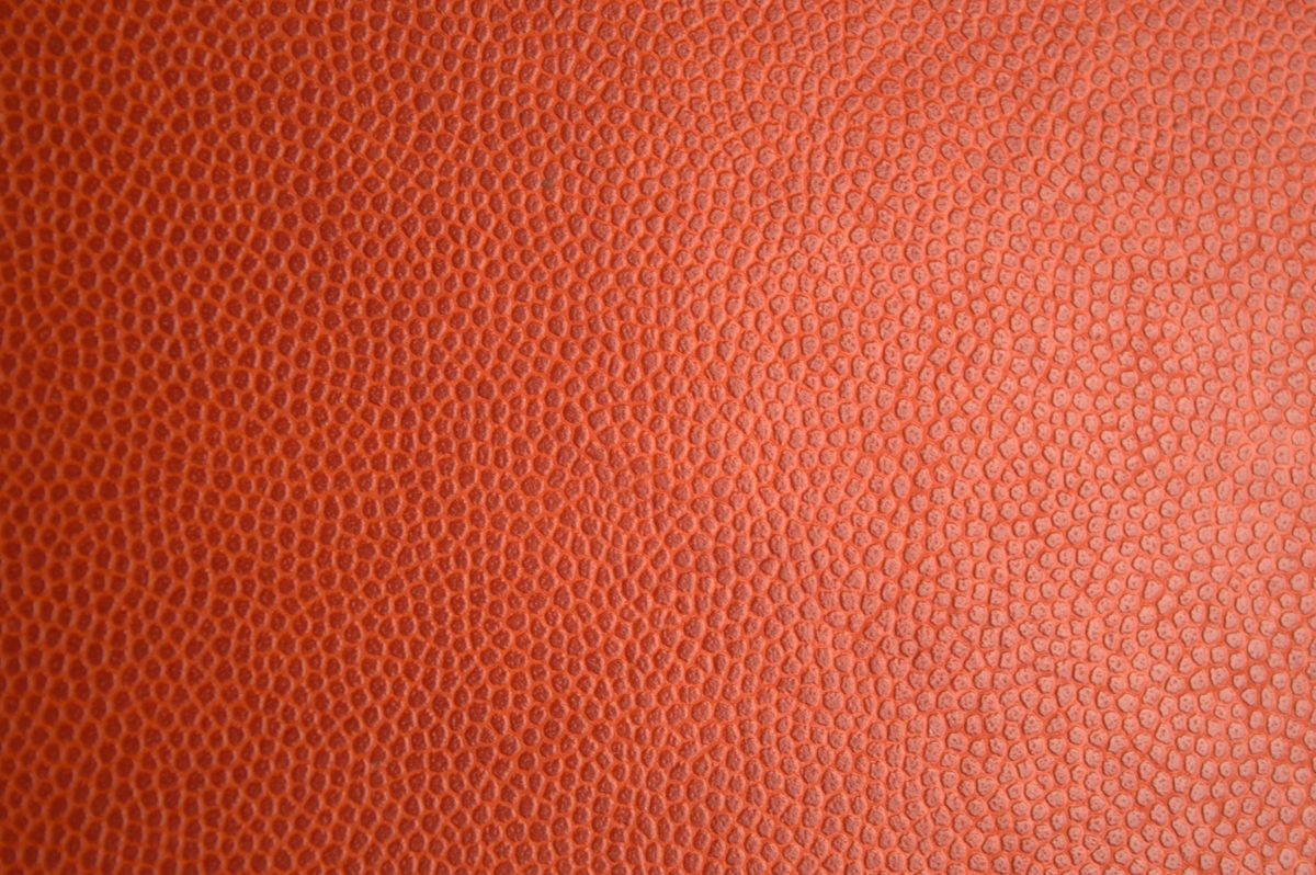 Le Cuir, tout savoir sur cette matière The Good Goods