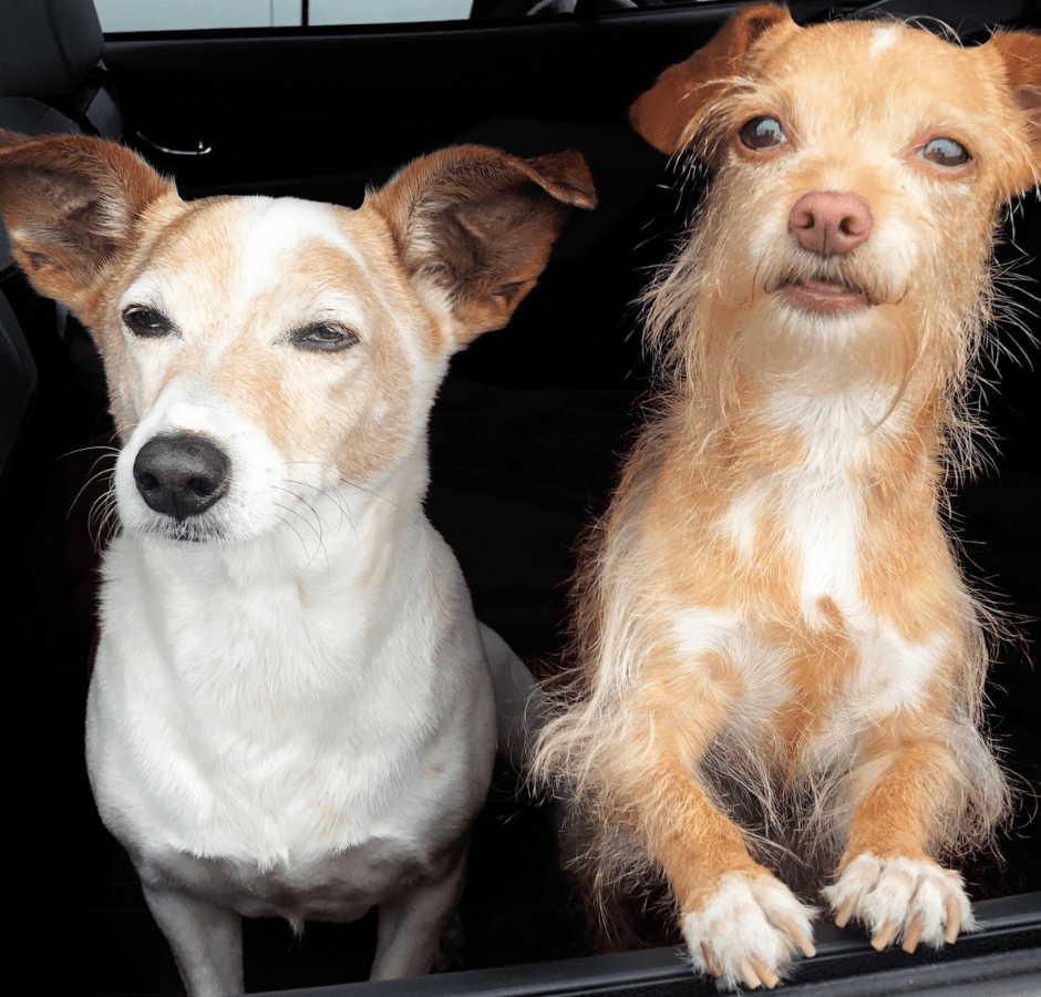 17 Things you Need to Know About Being a Travel Nurse The Gypsy Nurse