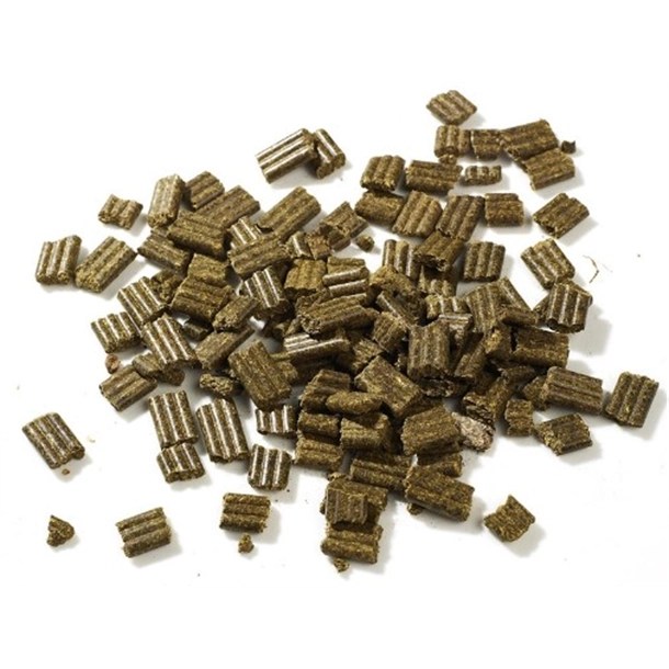 BARASTOC FIBRE BEET MASH 20KG RIDLEY HFBM20 from Tom Grady Rural