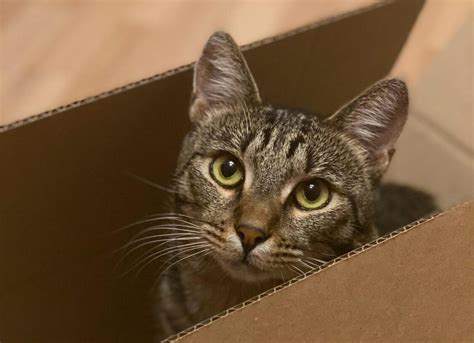 Практические советы по выбору надежной транспортной компании для бизнеса и частных лиц