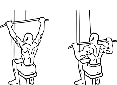 General (General) Bodybuilding Program for Beginners and Explained with