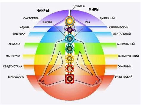 Как практика Рейки помогает восстановить баланс и гармонию чакр человека