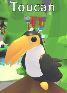 Pet Trainer Roblox Wiki roblox wiki adopt me codes fandom