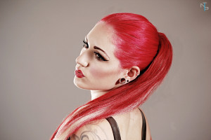 Cervena Fox wallpapers - wallhaven.cc