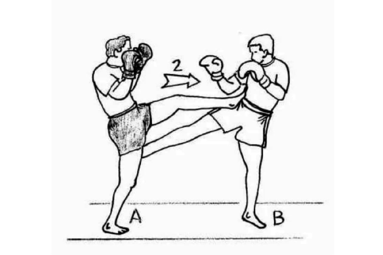 Muay Thai Thai boxing techniques with illustrations