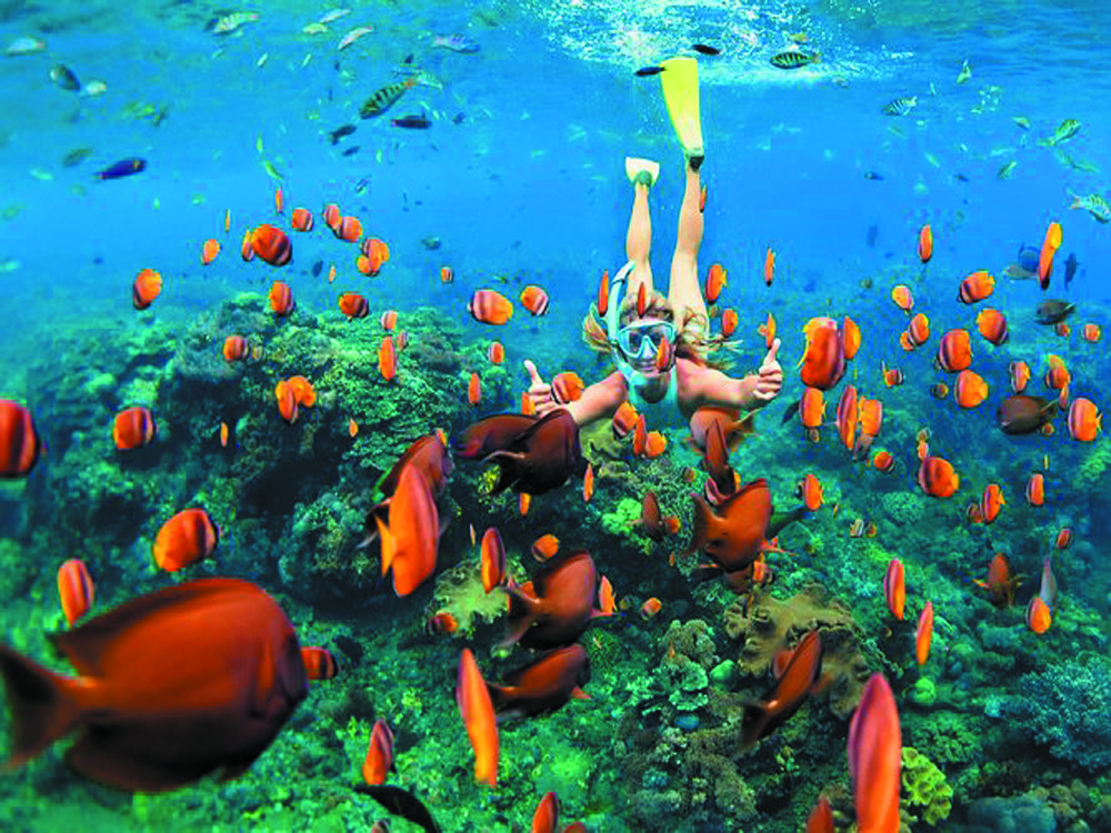 Scuba diving in Thailand with great experience with fun.....