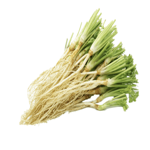 coriander root Manufacturers and Suppliers Metal Crafts