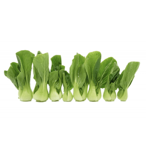 BABY POK CHOY THAIFRESHEXPRESS