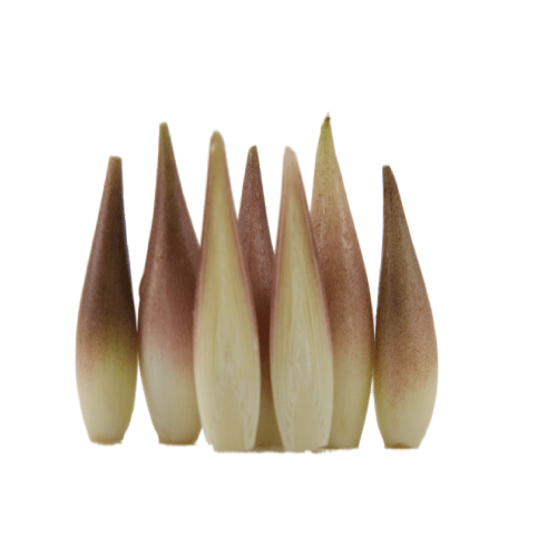 MYOGA / JAPANESE GINGER FLOWER THAIFRESHEXPRESS