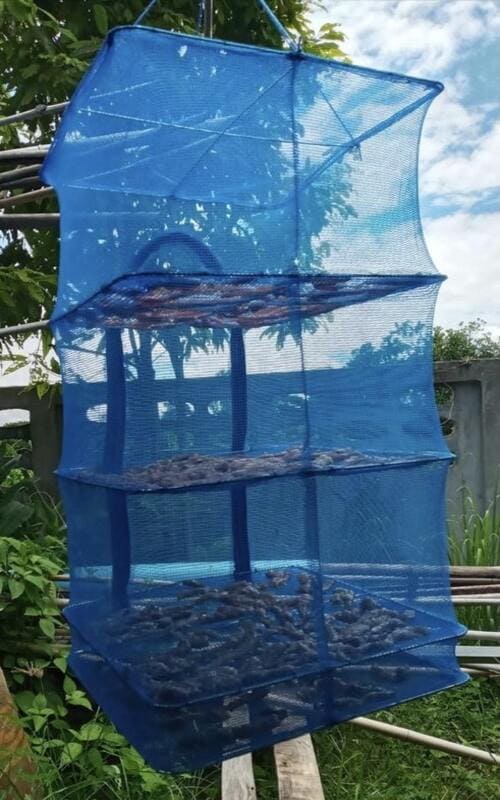 Thailand drying fresh meat in the sun Pictures