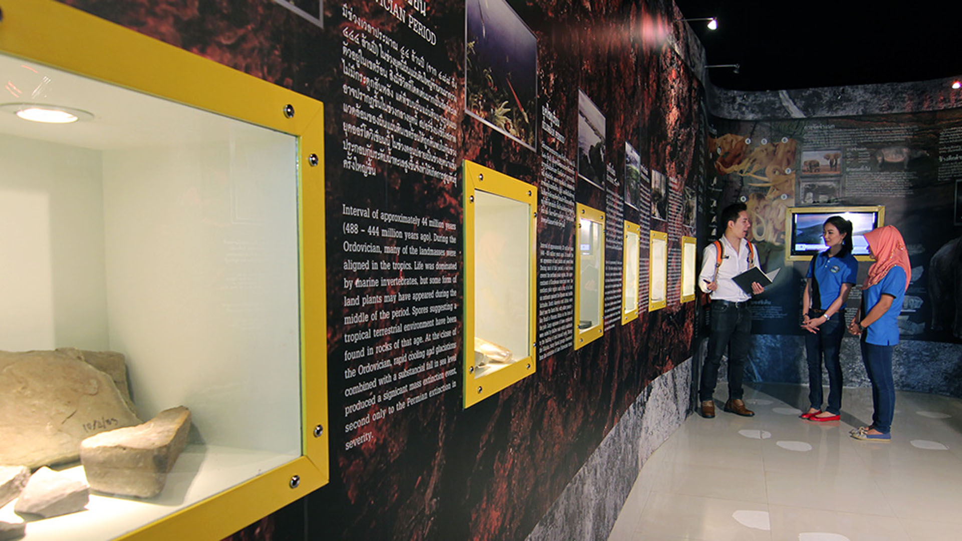 Historical Tourism Ancient Fossils at Museum of Prehistoric Elephants