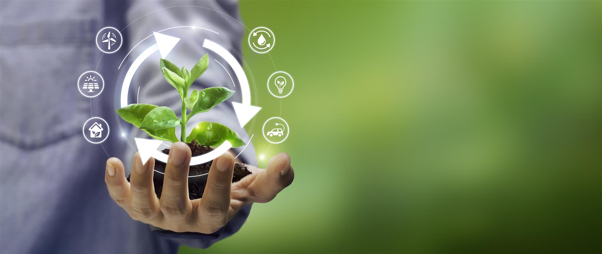 Laws related to food industry, supporting the BCG model THAILAND.GO.TH