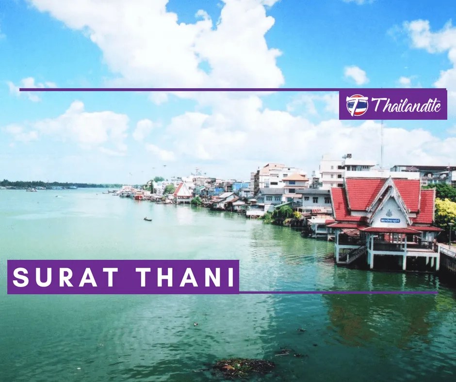 Surat Thani Thailandia Guida