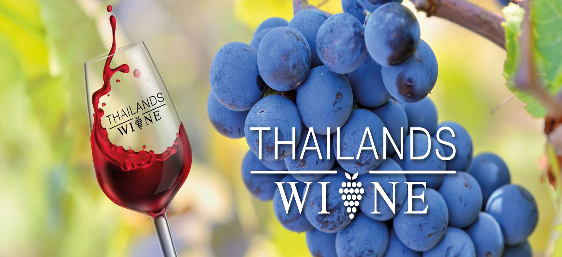 Thailands Wine for Online Wine sales in Pattaya or Thailand