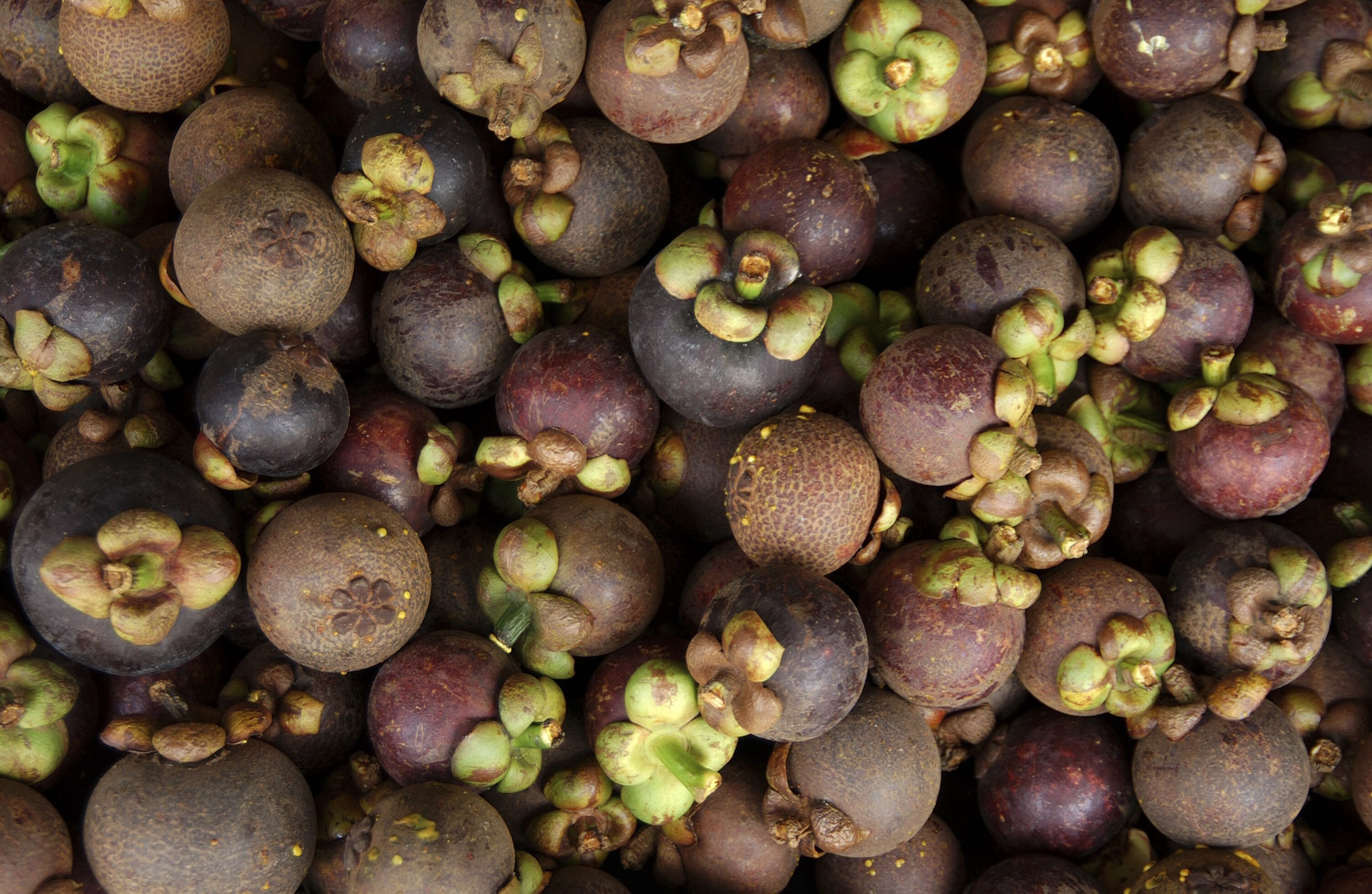 In hard times, queen of the fruits turns into mangosteen jam Thai