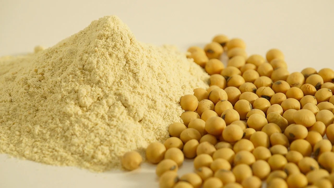 Govt urged to allow import of soybean meal for use as animal feed