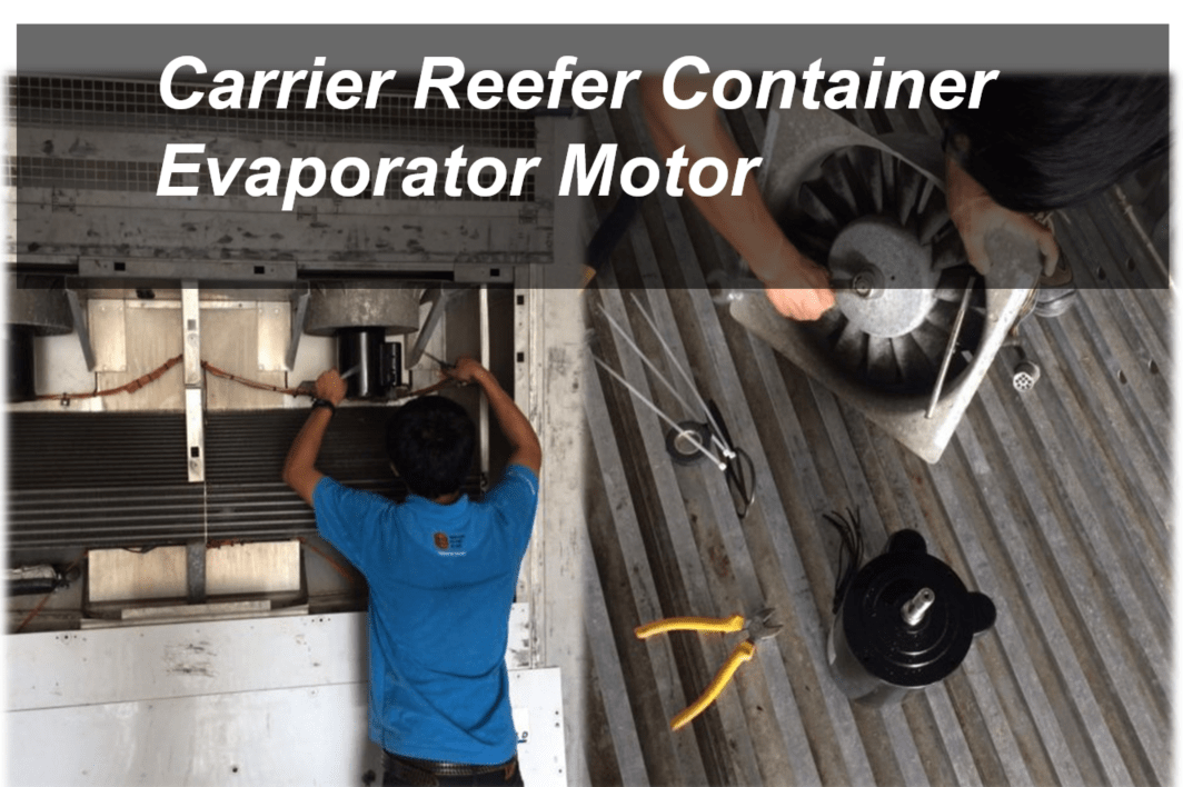 Carrier Reefer Container Evaporator Motor ThaiReefer Group