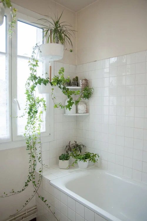 26 Beautıful Bathroom Plant Shelf Ideas