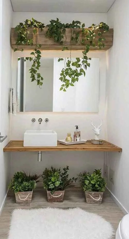 26 Beautıful Bathroom Plant Shelf Ideas