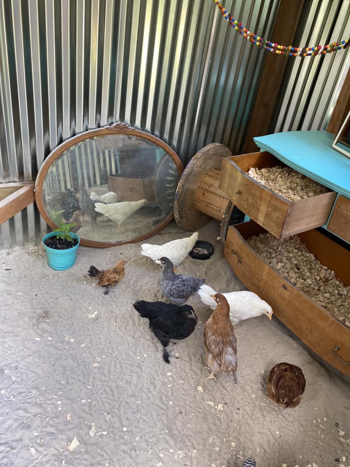 Affordable and EasytoBuild "Corrugated Metal Chicken Coop" Idea for