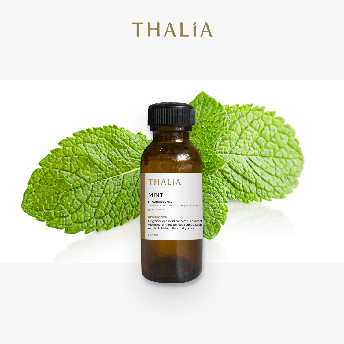 Fragrance Oil : Mint - thalia candle